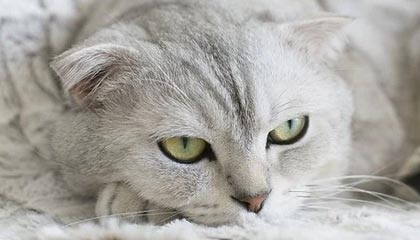 江南体育 如何突破 数据洞见 经验谈
