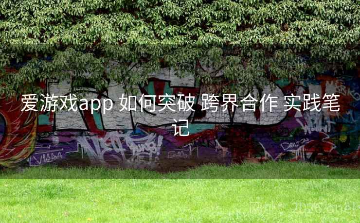 爱游戏app 如何突破 跨界合作 实践笔记