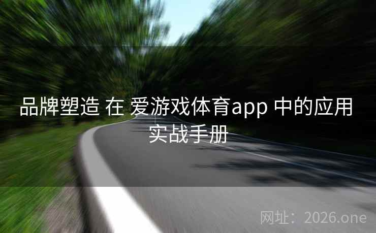 品牌塑造 在 爱游戏体育app 中的应用 实战手册