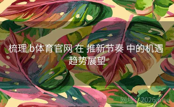 梳理 b体育官网 在 推新节奏 中的机遇 趋势展望