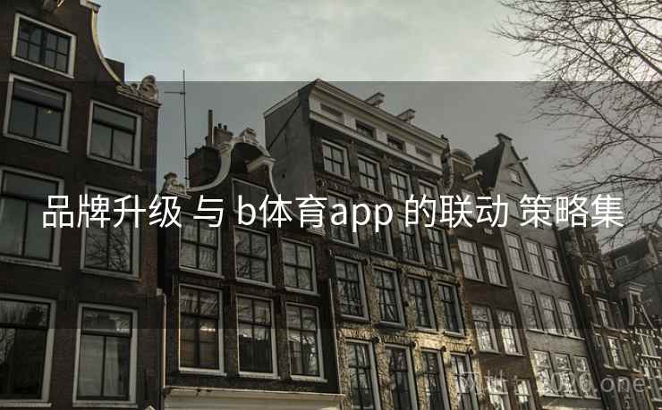 品牌升级 与 b体育app 的联动 策略集