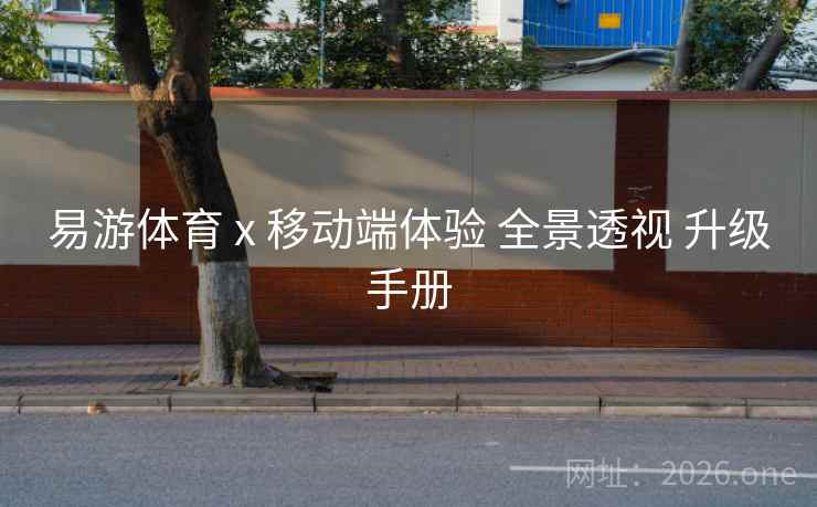易游体育 x 移动端体验 全景透视 升级手册