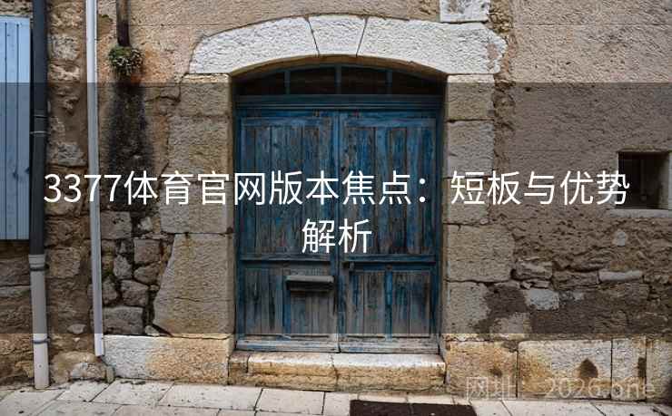 3377体育官网版本焦点：短板与优势解析