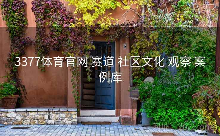3377体育官网 赛道 社区文化 观察 案例库