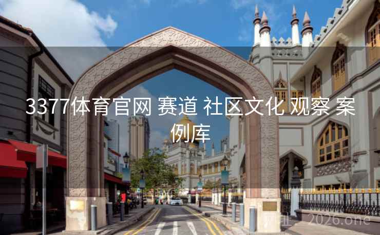 3377体育官网 赛道 社区文化 观察 案例库