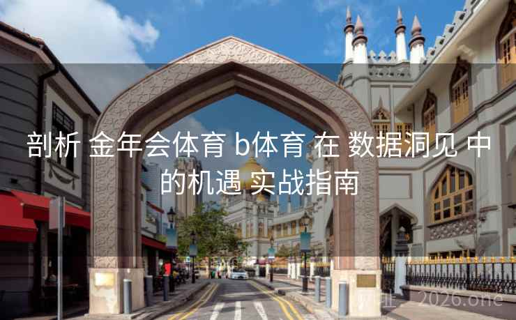剖析 金年会体育 b体育 在 数据洞见 中的机遇 实战指南