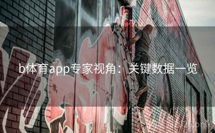 b体育app专家视角：关键数据一览