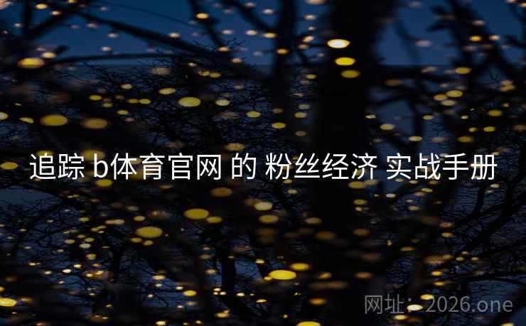 追踪 b体育官网 的 粉丝经济 实战手册 追踪 b体育官网 的 粉丝经济 实战手册
