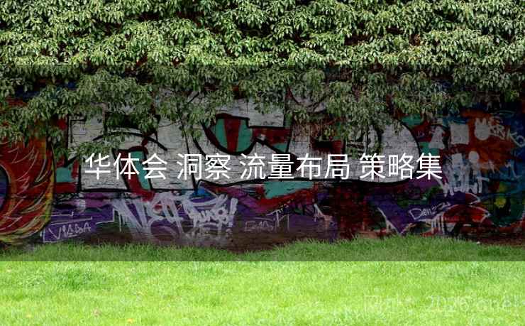 华体会 洞察 流量布局 策略集 华体会 洞察 流量布局 策略集